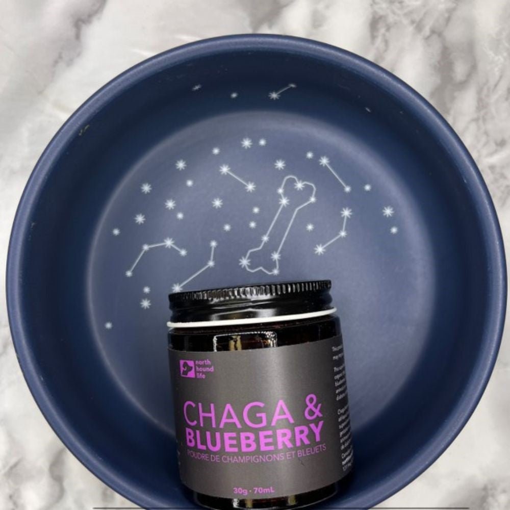 Power House Combo of Chaga & Blueberry for Dogs - Gideon and Sadie Posh Dogs