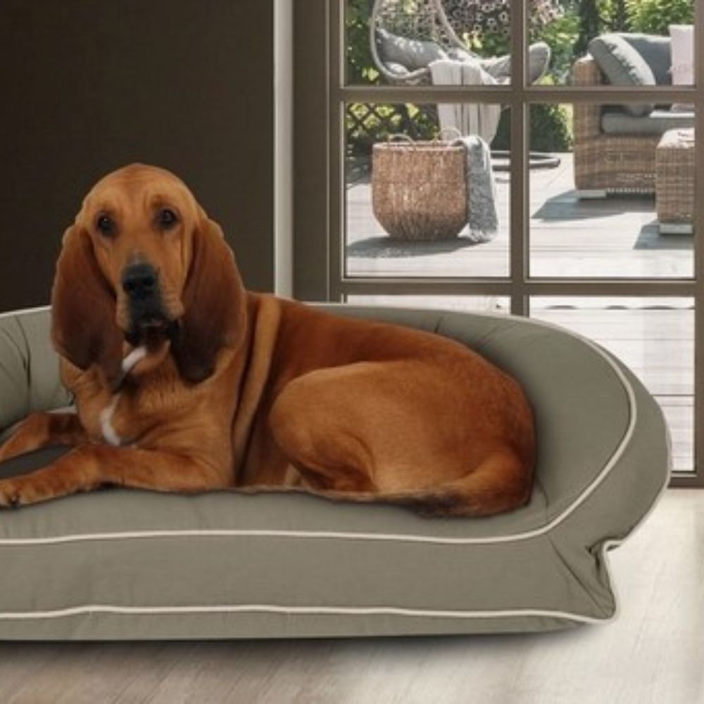 Eco-Friendly Dog Beds