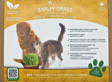 Barley Microgreens Pet Kit - Gideon and Sadie Posh Dogs