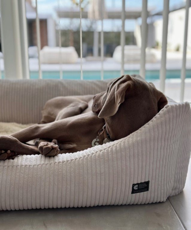 Eco Friendly Dog Beds | Snozy Corduroy (Bone White) - Gideon and Sadie Posh Dogs