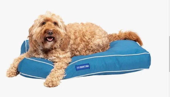 Marlin Eco-Fabric Dog Bed - Gideon and Sadie Posh Dogs